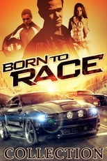 Born To Race Collection