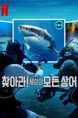 찾아라! 세상의 모든 상어