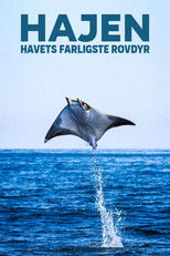 Hajen - havets farligste rovdyr