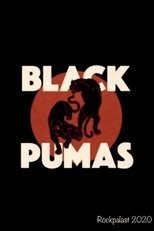 Black Pumas - Rockpalast