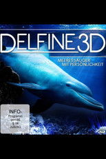 Delfine 3D poster