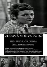 Zdravá vdova 29/169