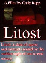 Litost poster