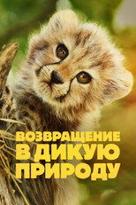 Возвращение в дикую природу