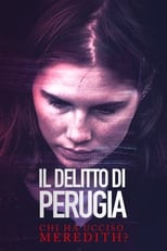 Poster di Il delitto di Perugia - Chi ha ucciso Meredith?