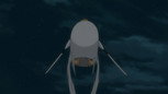 野狗
