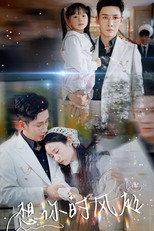 想你时风起 poster