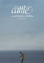 Where the Cattle Go To Drink