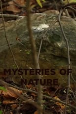 Poster for Mysteries of Nature