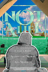 No es vida poster