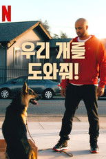 우리 개를 도와줘!