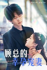 顾总的幸孕宠妻 poster