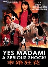 A Serious Shock! Yes Madam! (1993)