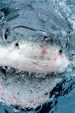 Super Predator poster