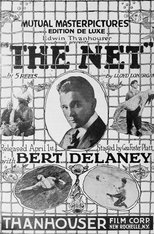 Poster for The Net 