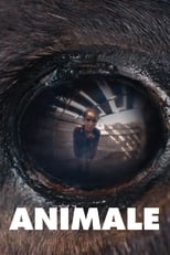 Poster for Animale