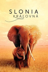 Slonia kráľovná