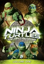 Poster for Ninja Turtles: The Next Mutation Season 1