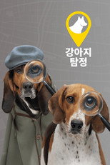 강아지 탐정