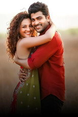 Run Raja Run (2014)