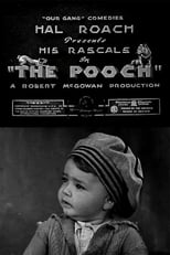 Poster for The Pooch 