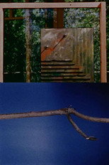 Foregrounds (1978)