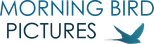 Morning Bird Pictures