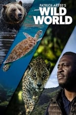 Poster for Patrick Aryee's Wild World
