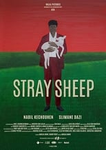 Poster for Stray Sheep