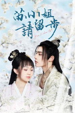 苏小姐请留步 poster