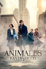 Ver Animales fantásticos y dónde encontrarlos (2016) Online