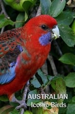 Poster for Australian Iconic Birds