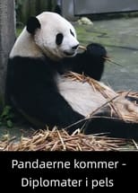 Poster for Pandaerne kommer - Diplomater i pels