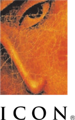 Icon Entertainment International