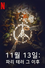 11월 13일: 파리 테러 그 이후