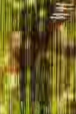 Ga