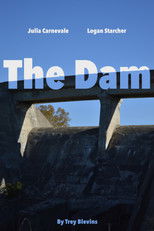 The Dam