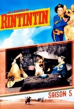 Poster for The Adventures of Rin Tin Tin Season 5