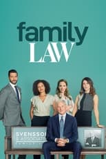 Poster for Family Law Season 2