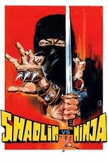 Poster for Shaolin vs. Ninja