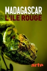 Poster for Madagascar, l'île rouge : La jungle des lémuriens 