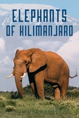 Elephants of Kilimanjaro main poster