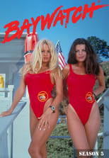 Poster for Baywatch Season 5