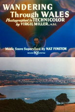 Wandering Through Wales poster