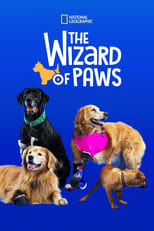 Poster for Wizard of Paws