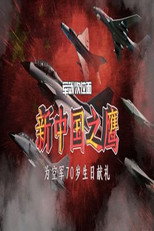 新中国之鹰 poster