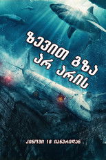 ზევით გზა არ არის