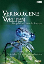Poster zu Staffel 1 – Verborgene Welten