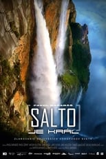 Poster for Salto je kráľ