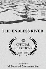 Poster for The Endless River 